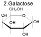 Galactose