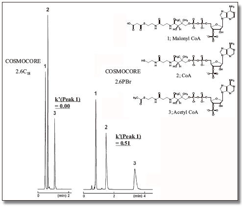 Malonyl CoA, CoA, Acetyl CoA_Application