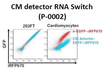 CM detector RNA swtich.JPGのサムネイル画像