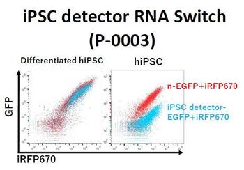 iPSC detector RNA Switch.JPG