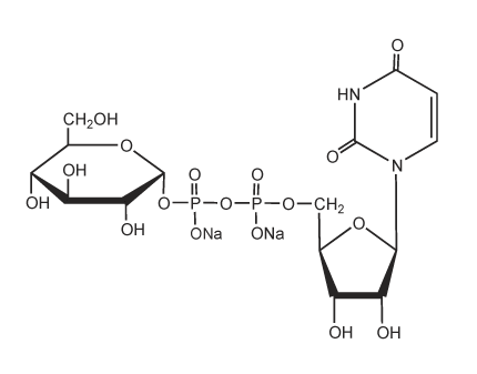 Uridine-5'-diphosphoglucose, Disodium Salt