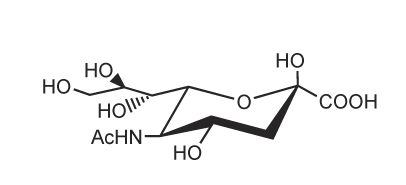 N-Acetylneuraminic Acid [NANA; Sialic Acid; NeuAc]