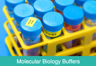 Molecular Biology Buffers