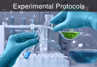 Experimental Protocols
