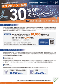 novus_cam_20250925.png