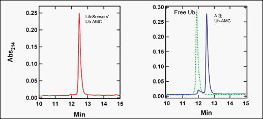 LifeSensors社Ub-AMCとA社 Ub-AMCとの比較