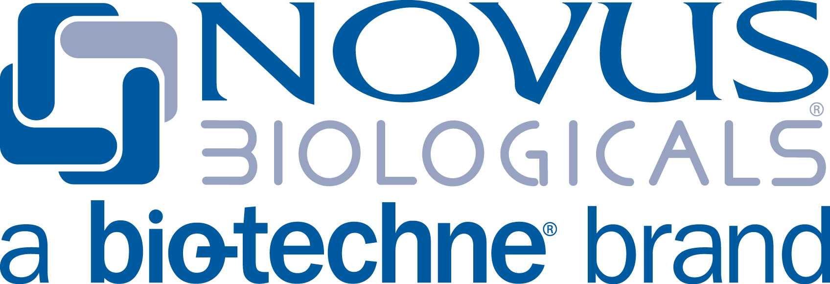 Novus Biologicals 社 抗体 製品情報 ナカライテスク
