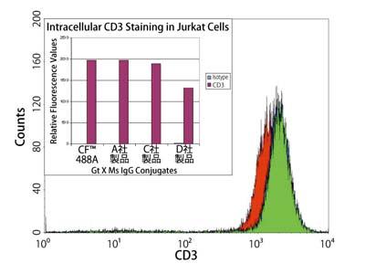 CF™ 488A標識二次抗体の蛍光強度の比較