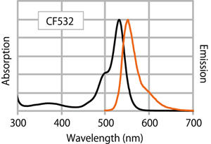 CF™ 532 標識二次抗体の励起/ 蛍光スペクトル