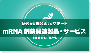 mRNA 創薬関連製品・サービス