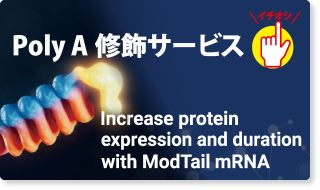 InvivoGenオンラインセミナー