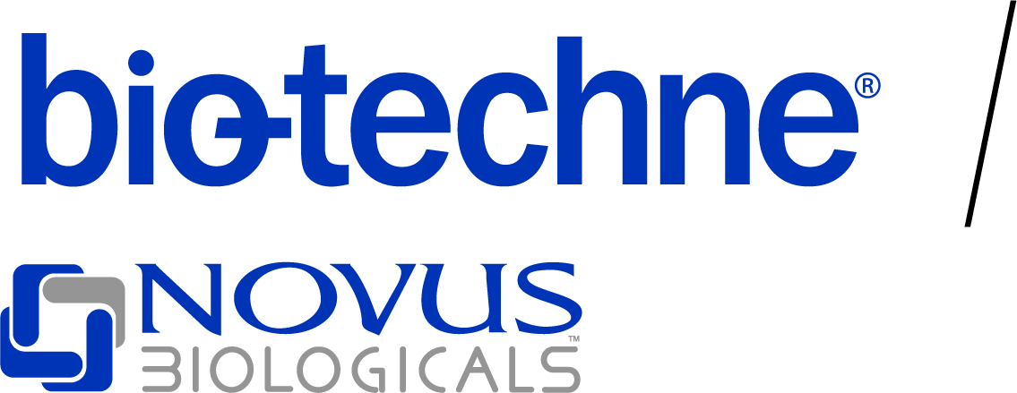 Novus-vert-main_logo.png