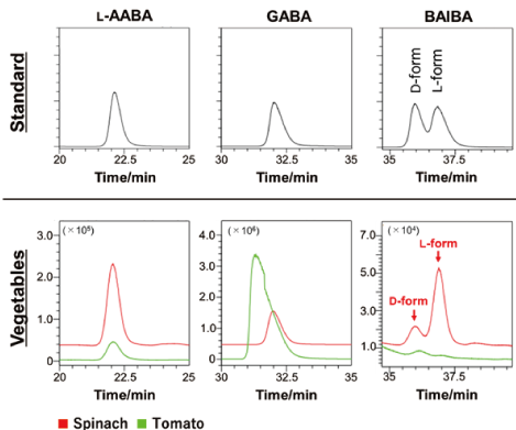 TN-30-p4-cromato-2.png