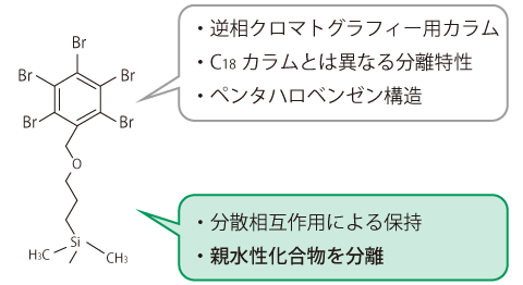 TN28-p1-PBr_setumei.png