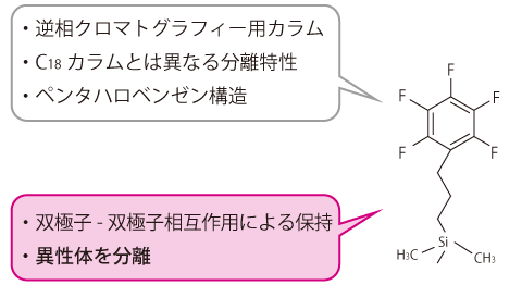 TN28-p1-PFP_setumei.png