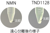 TN31-p2-ensinbunri-2.png