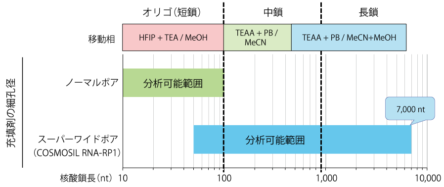TN32-p8-1-2.png