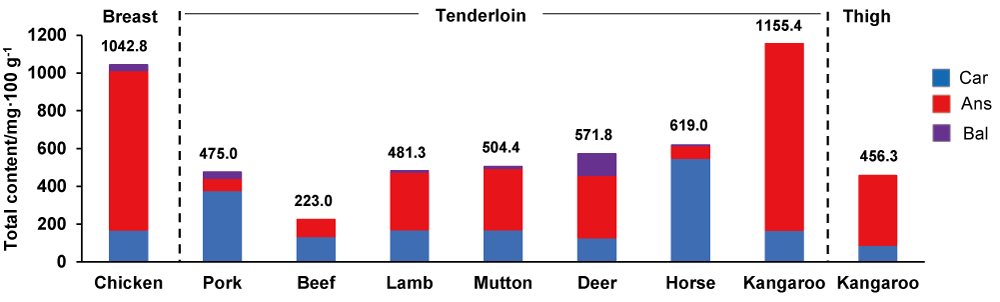 TN35-p4-zu8.png