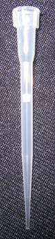 10.png