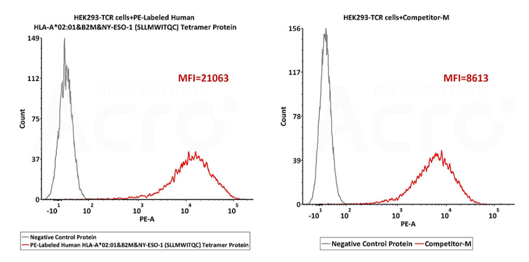 ACROBio_MHC_2.png