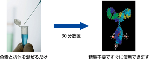 BTM_AntibodyLabelingKit_gaiyou.png