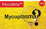 MycoStrip_img.png