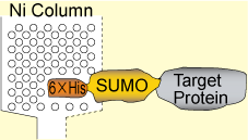 SUMO_I438-9_P3siyouhouhou-2.png