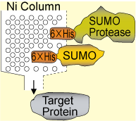 SUMO_I438-9_P3siyouhouhou-4.png