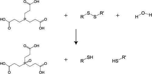 TCEP_2.jpg