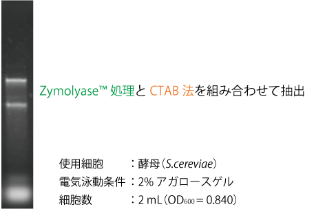 TN-36-p2-denkieidou_TM.png
