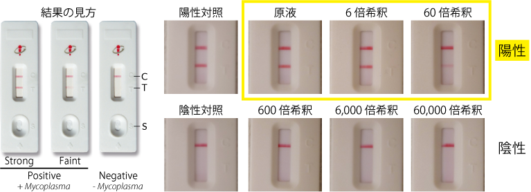 TN40-MycoStrip.png