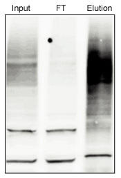 TUBE_06.jpg