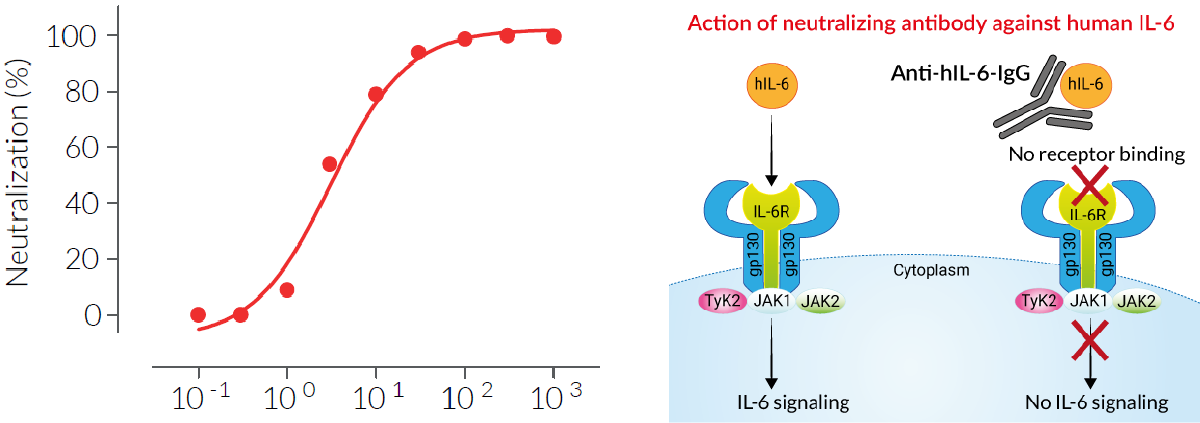 cytokines_date.png