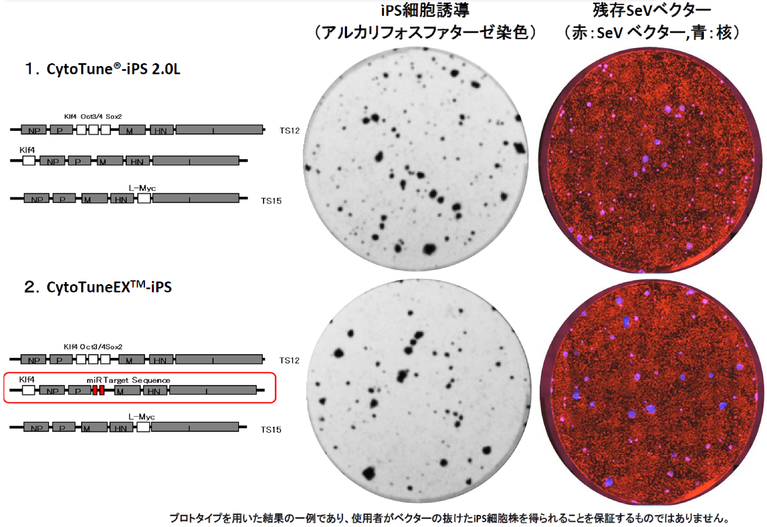 cytotuneex_fig1.png