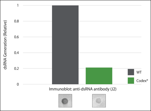 d003024_I490_dsRNA.png