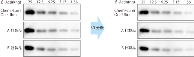 d005010_Ultra-seinoukakunin-1_syusei_20180405_2.png