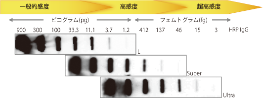 d005010_hyou_201804.png