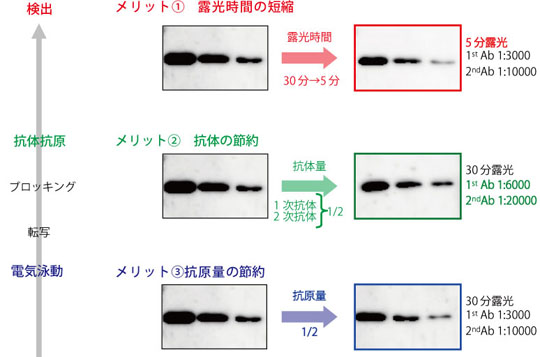 d005010_matome_20180410.png