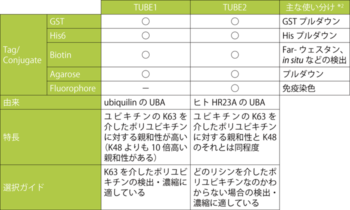 d013014_lineup.png