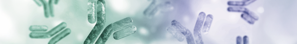 hokudo_banner_mAb.png