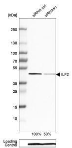 hpa007484-wb-1.jpg