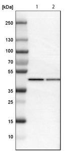 hpa007484-wb-2.jpg