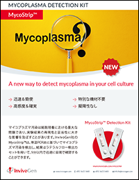 mycostrip-flyer-2pages_updated_J.png