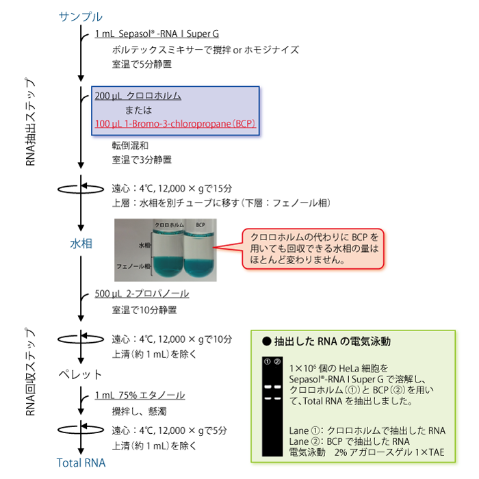 p1-siyourei-1_2.png
