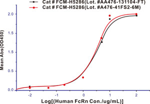 p7- Fc receptors_Binding Activity Validated_FcRn_Bioactivity.jpg