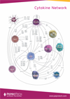 Peprotech:Cytokine Network