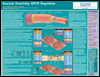 Tocris:Cardiovascular:Vascular Reactivity; GPCR Regulation