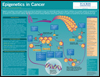 Tocris:Epigenetics in Cancer 