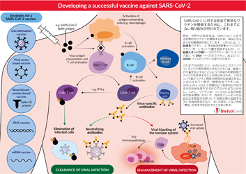 Vaccine_development_h251.png